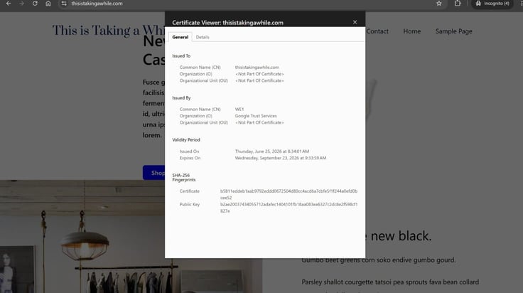 Browser certificate viewer overlaying the thisistakingawhile.com homepage in an Incognito window, showing the General tab with "Issued To" as thisistakingawhile.com, "Issued By" as Google Trust Services (WE1), a validity period running from June 25, 2026 to September 23, 2026, and the full SHA-256 certificate and public key fingerprint strings listed below. Browser certificate viewer overlaying the thisistakingawhile.com homepage in an Incognito window, showing the General tab with "Issued To" as thisistakingawhile.com, "Issued By" as Google Trust Services (WE1), a validity period running from June 25, 2026 to September 23, 2026, and the full SHA-256 certificate and public key fingerprint strings listed below.