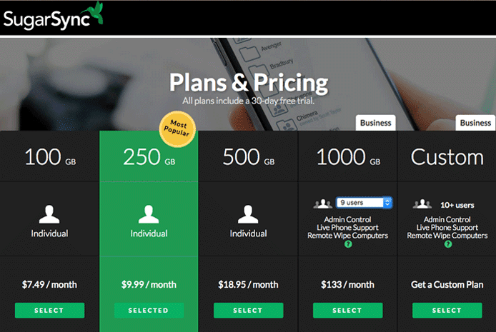 SugarSync Pricing Table Screenshot of SugarSync's pricing tiers