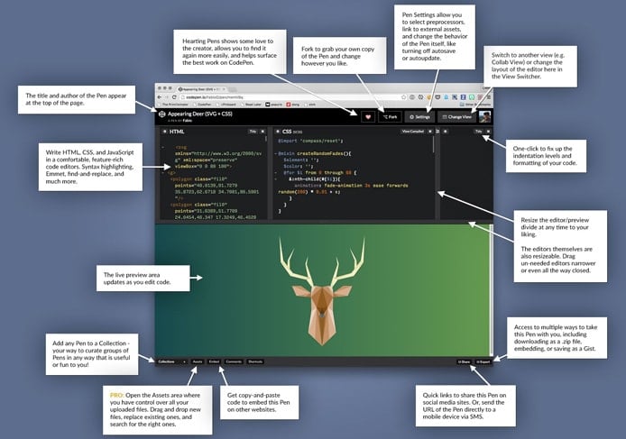 Graphic of CodePen editor's features Graphic of CodePen editor's features