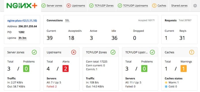 Screenshot of NGINX Plus dashboard Screenshot of NGINX Plus dashboard