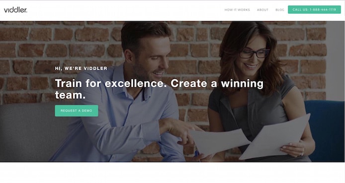 Viddler screenshot