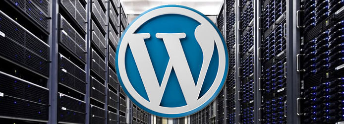 Fast WordPress hosting graphic