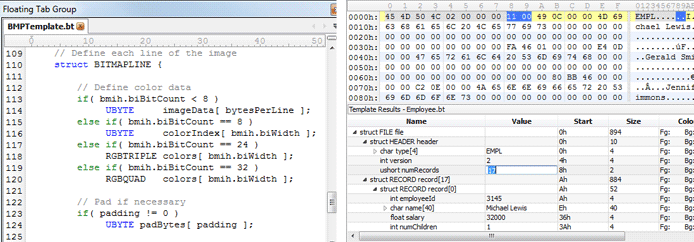 Screenshots of binary templates in the 010 Editor Screenshots of binary templates in the 010 Editor