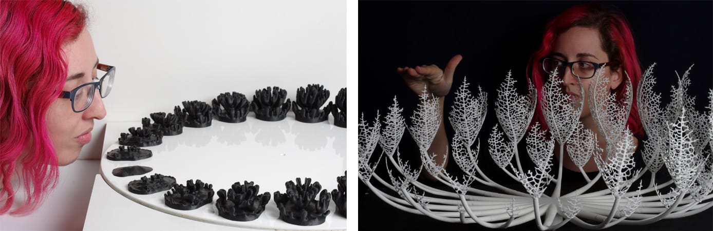 Art pieces titled Hyphae Zeotrope and Laplacian Zeotrope Art pieces titled Hyphae Zeotrope and Laplacian Zeotrope