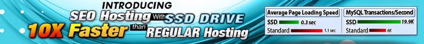 Banner depicting SEO hosting packages Banner depicting SEO hosting packages