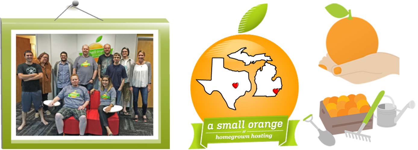 Image of A Small Orange team with graphics about support and datacenters Image of A Small Orange team with graphics about support and datacenters