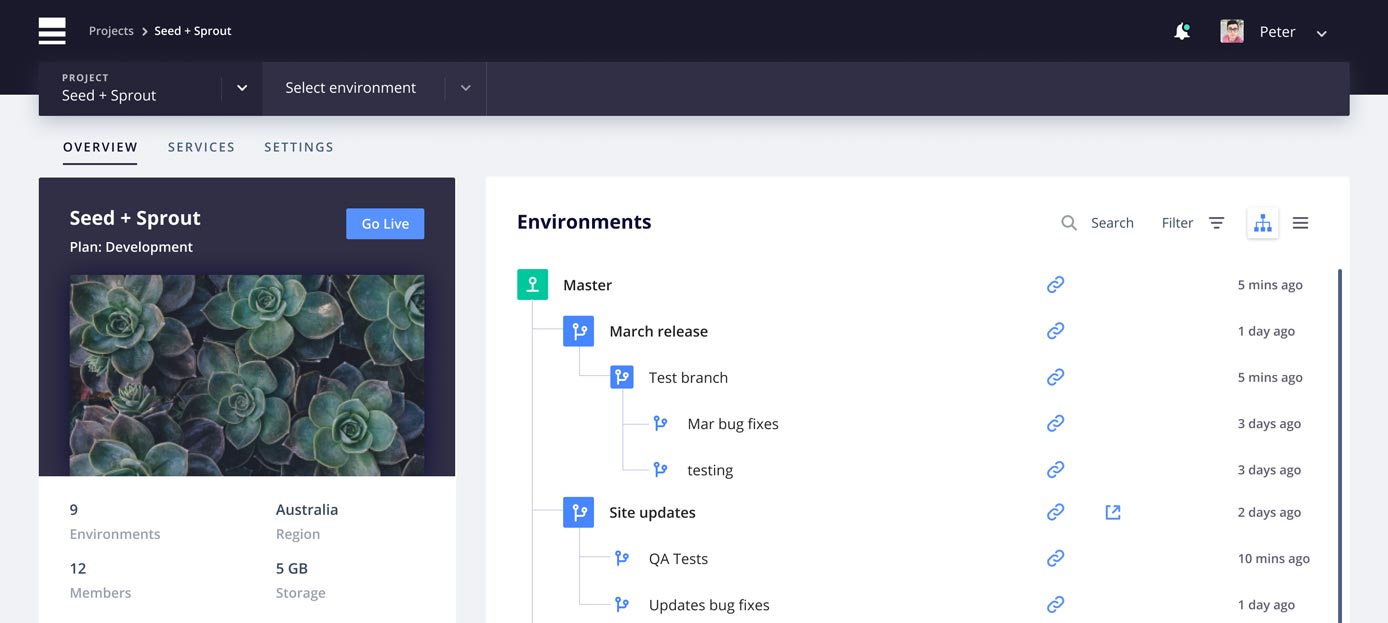 Screenshot of Platform.sh dashboard Screenshot of Platform.sh dashboard