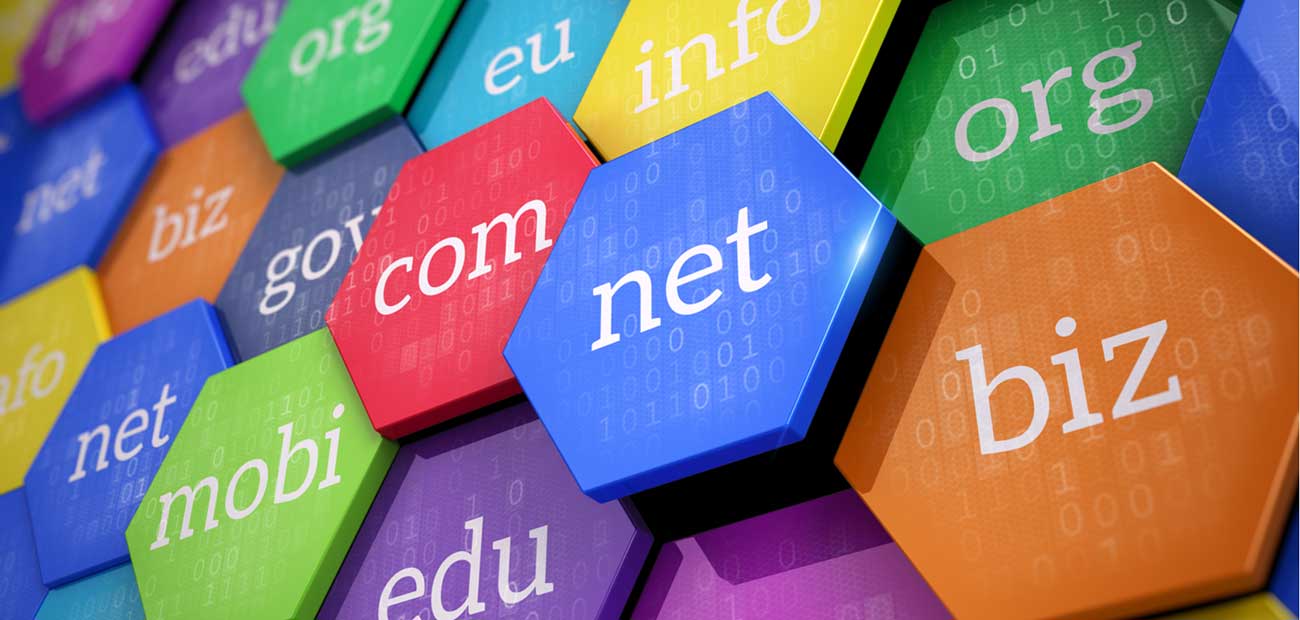 web hosting without domain name