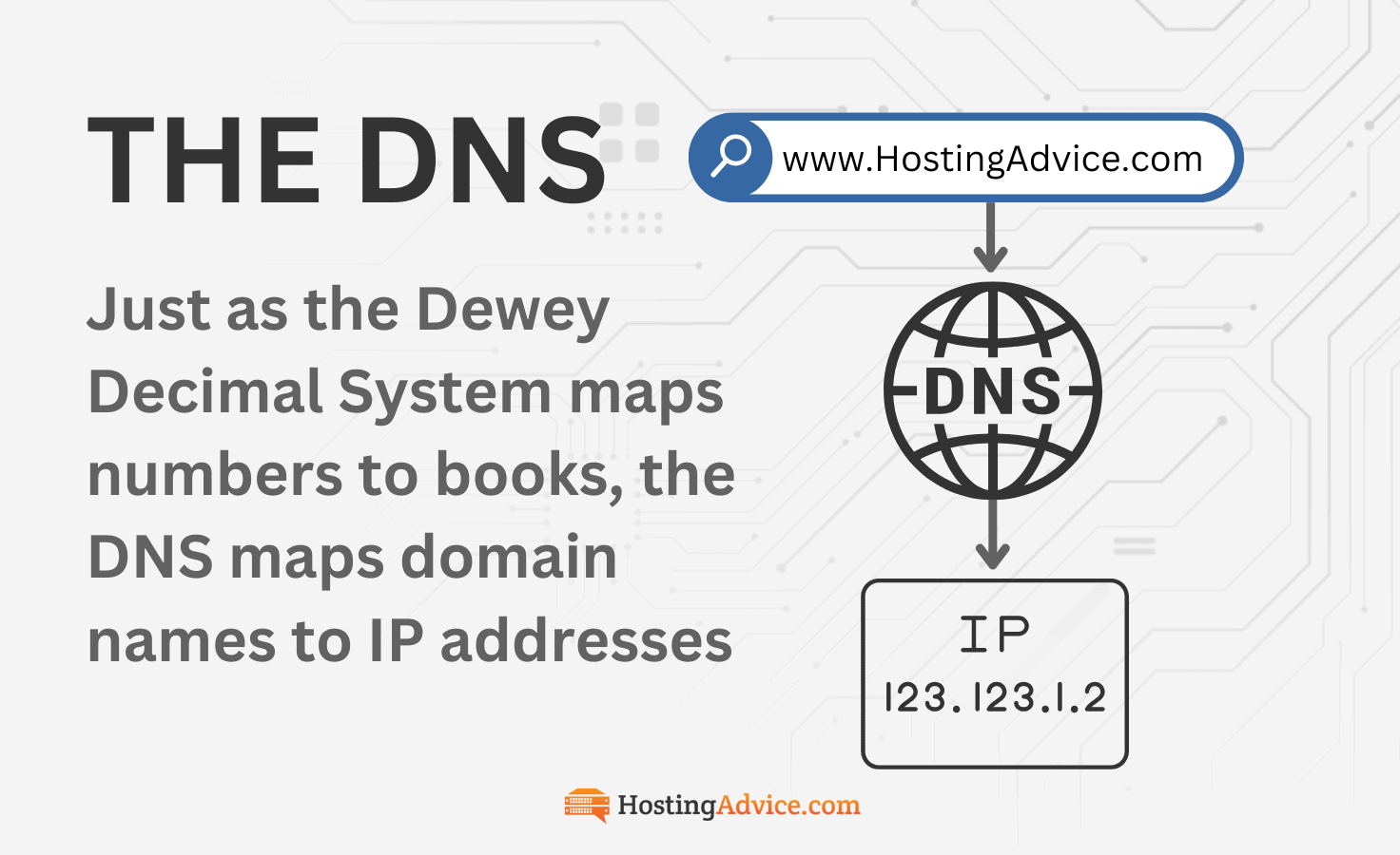 The DNS Overview infographic