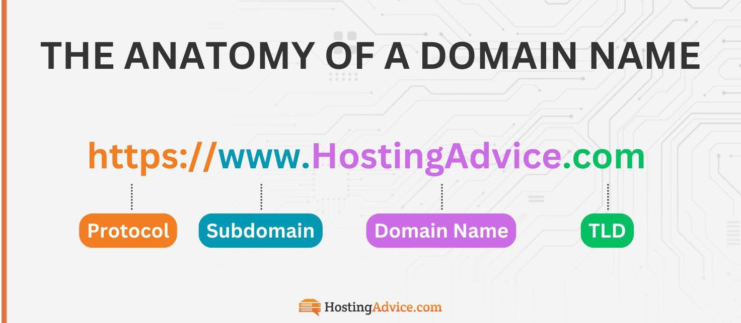The anatomy of a domain name